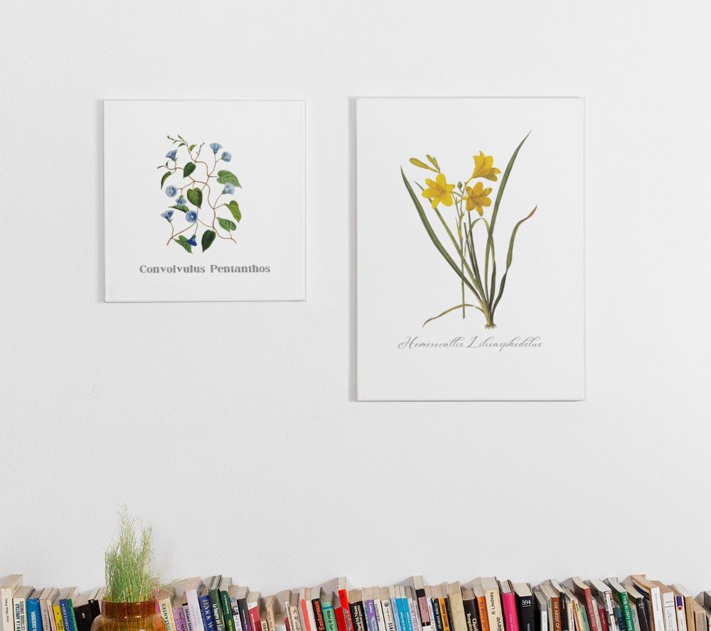 Wall art prints